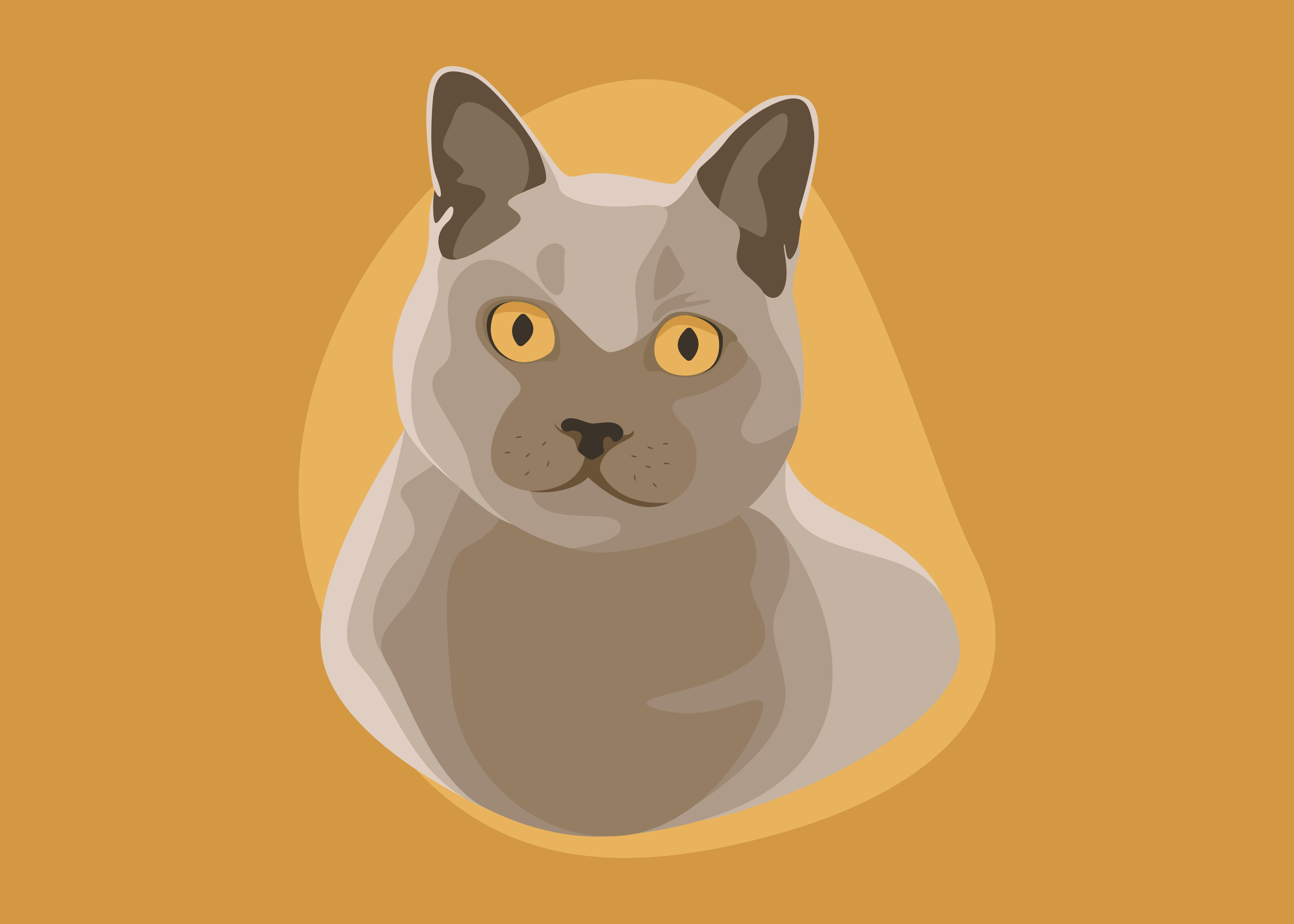 Free HTML5 Template by FreeHTML5.co